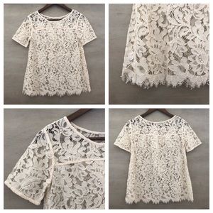 LOFT XS Petites White Lace Blouse